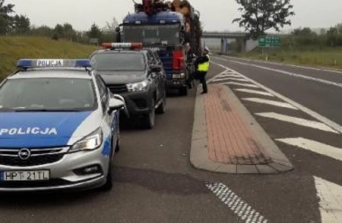 Ponad 200 ujawnionych wykroczeń – to bilans wspólnej akcji leśników i policji.